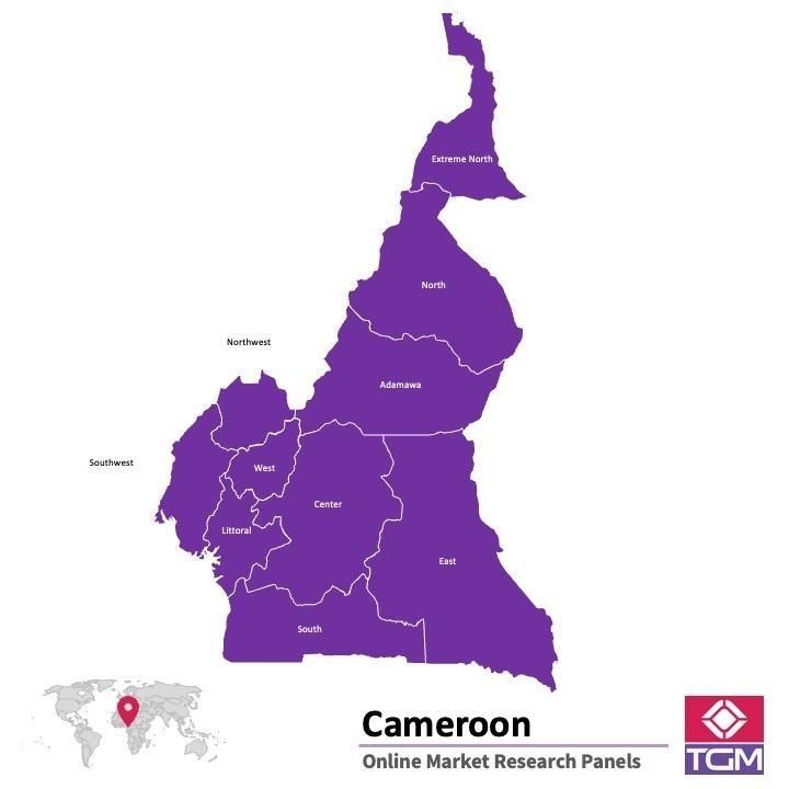 Online panel v Kamerunu |  Průzkum trhu v Kamerunu