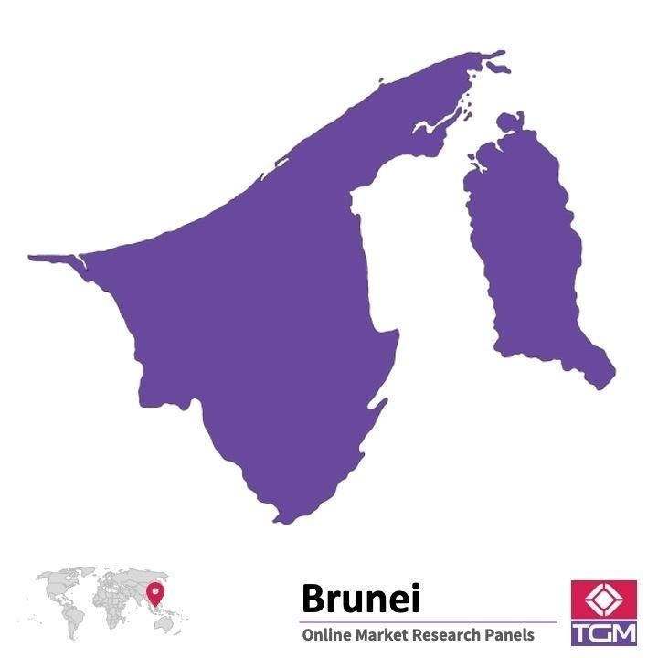 Online panel v Bruneji |  Průzkum trhu v Bruneji