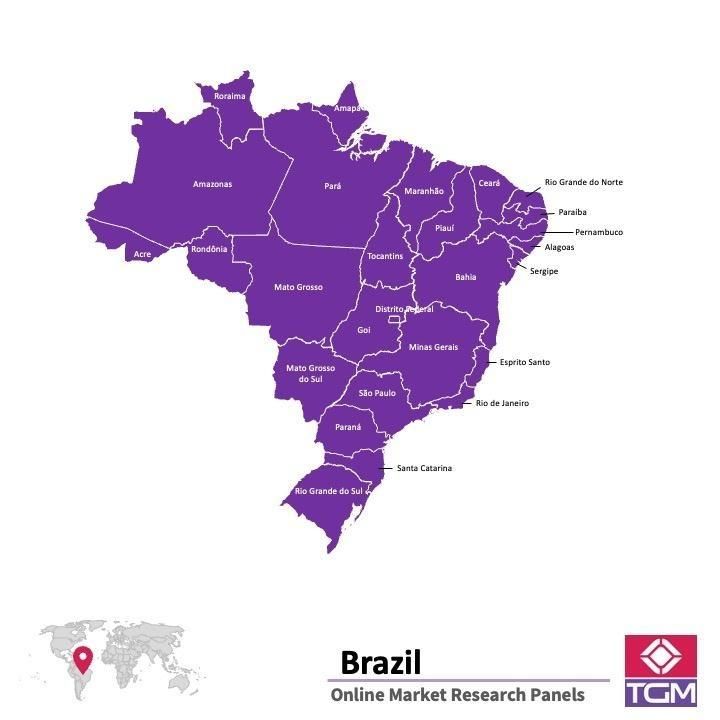 Online panel v Brazílii |  Průzkum trhu v Brazílii