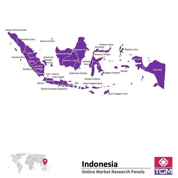 Online panel v Indonésii |  Průzkum trhu v Indonésii
