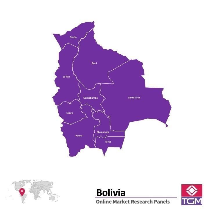 Online panel v Bolívii |  Průzkum trhu v Bolívii