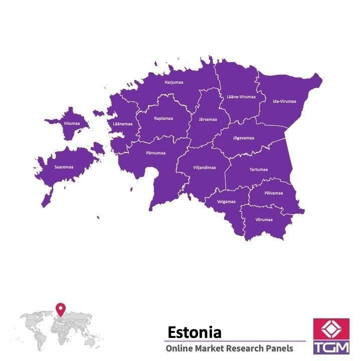 Online panel v Estonsku |  Průzkum trhu v Estonsku